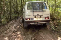 syncro france 20 years 124
