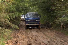 syncro france 20 years 134