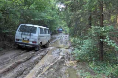 syncro france 20 years 136