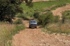 syncro france 20 years 161