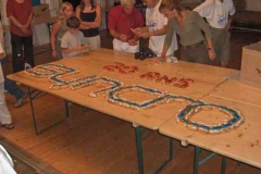 syncro france 20 years 192