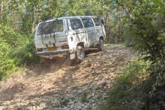 syncro france 20 years 203