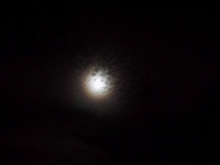 AO2015_more_11