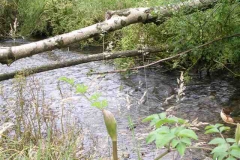 satdscn0938
