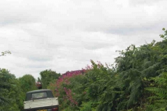 satimg_4092