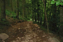 satimg_4154