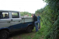satimgp2385