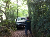 Devon2014_08.jpg