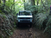 Devon2014_09.jpg
