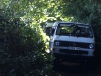 Devon2014_10.jpg