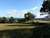 Devon2014_12.jpg