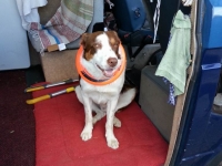 Devon2014_14.jpg