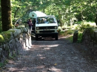 Devon2014_16.jpg