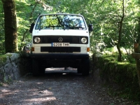Devon2014_17.jpg