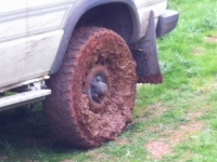 Mendips2015_38