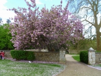normandy_fb_064