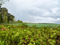 normandy_fb_065