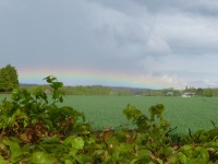normandy_fb_066