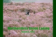 Northumberland01