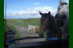 Northumberland07