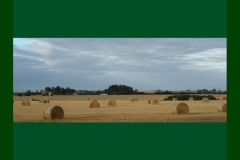 Northumberland16
