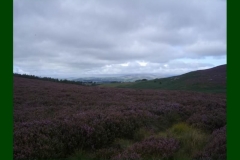 Northumberland19