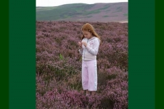 Northumberland22