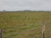 10409527_10152459901361274_5461484387092831352_n