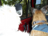 10553452_10152459900981274_6108664844143519713_n