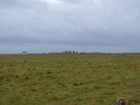 1507898_722019751185597_8274459729675222088_n