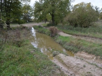 68987_722020001185572_4385089987618568626_n