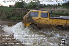 Wagtail2009_01