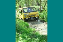Wagtail2009_03