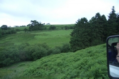 imgp2150
