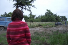 imgp2196
