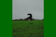SP2007_47