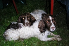 SP2007_51