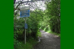 SP2007_60