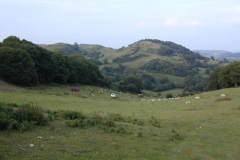 SP2007_098