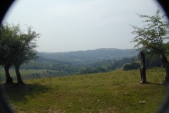 SP2007_175