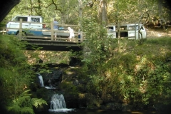 SP2007_178