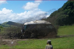 SP2008_02