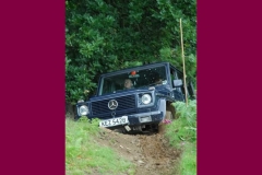 SP2008_07