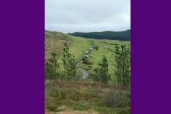 Wales2008_15